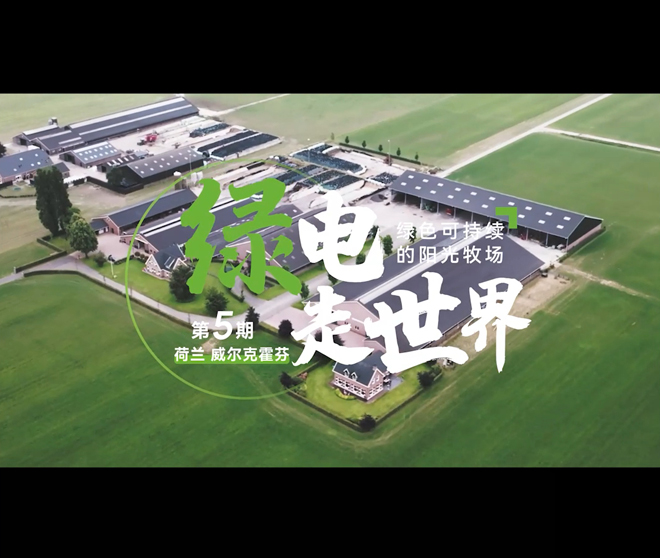 【古瑞瓦特儲能逆變器】綠電走世界 | 荷蘭綠色可持續的陽光牧場